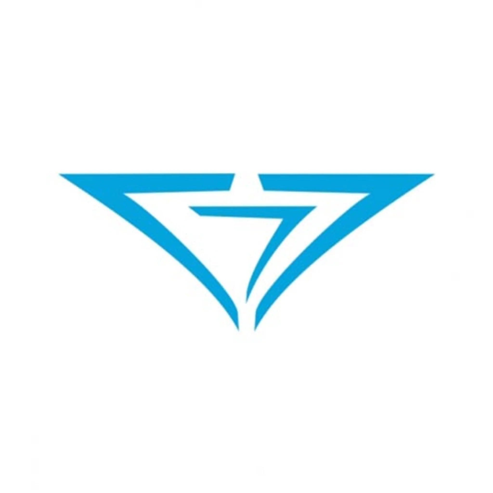 777-logo-parapente-1675084525576.webp