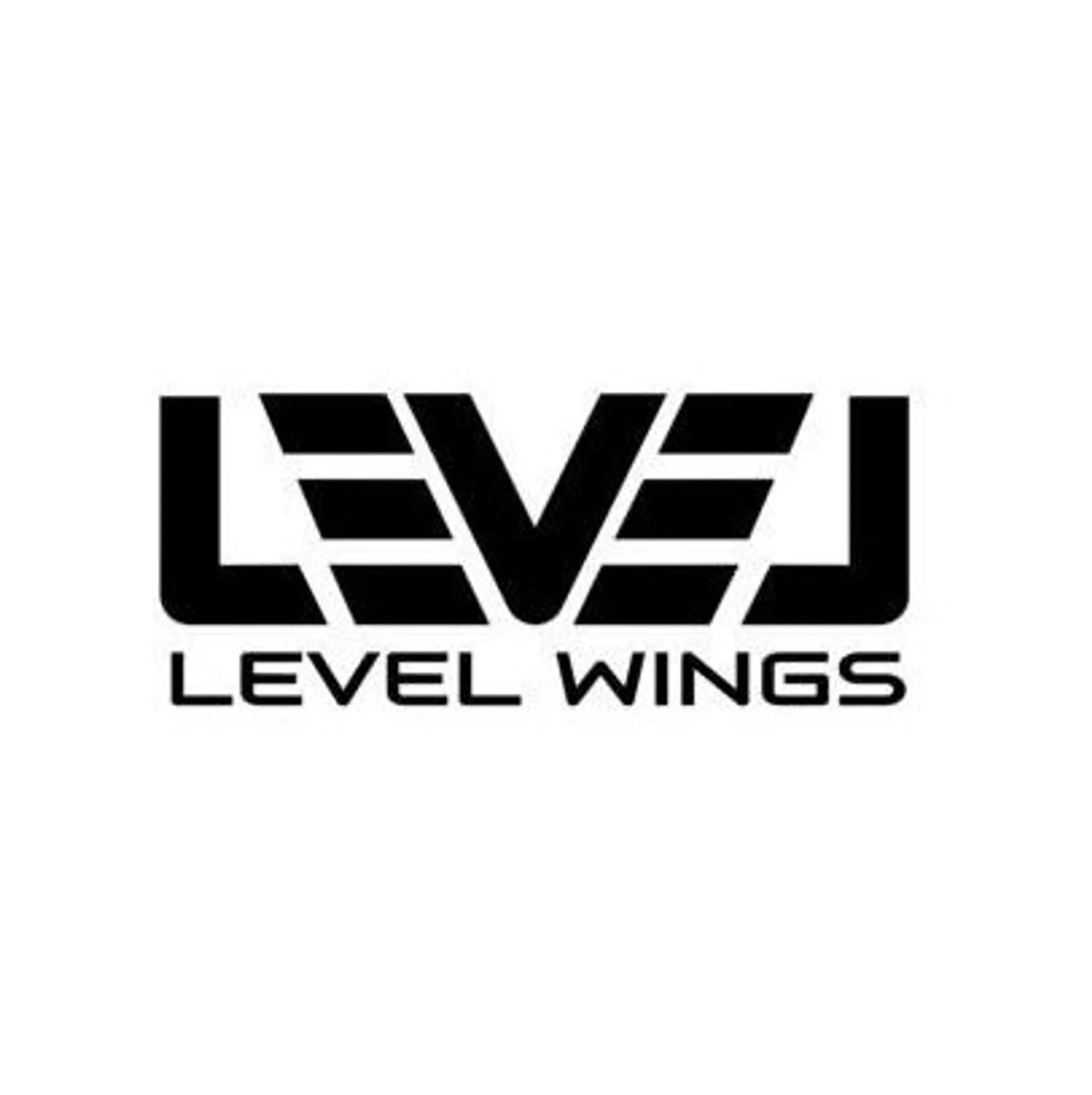 level-wings-marque-parapente-plaine-altitude-7-1674661043530.webp